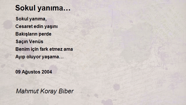 Mahmut Koray Biber