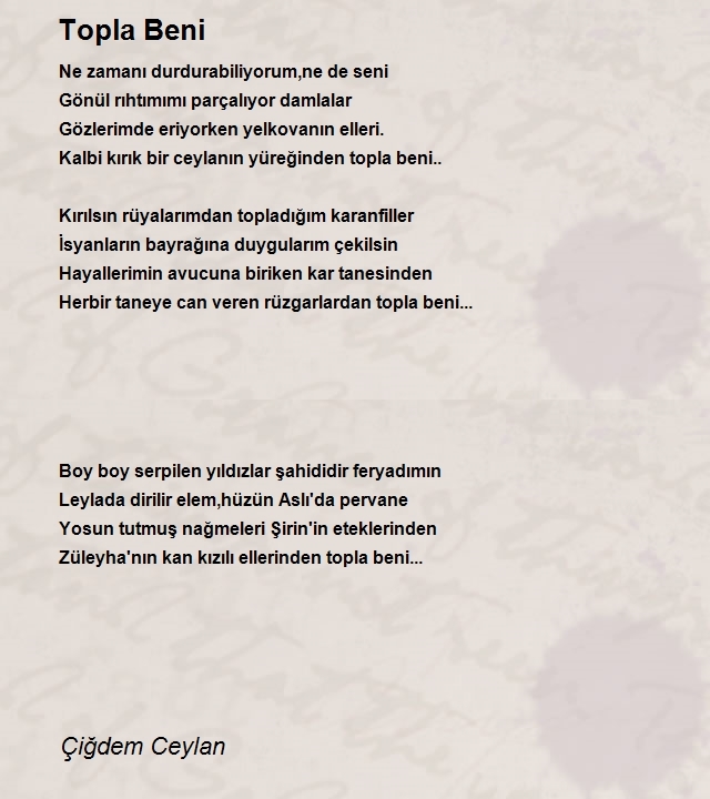 Çiğdem Ceylan