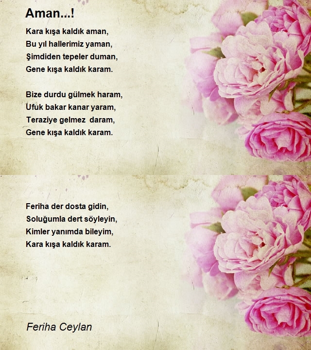 Feriha Ceylan