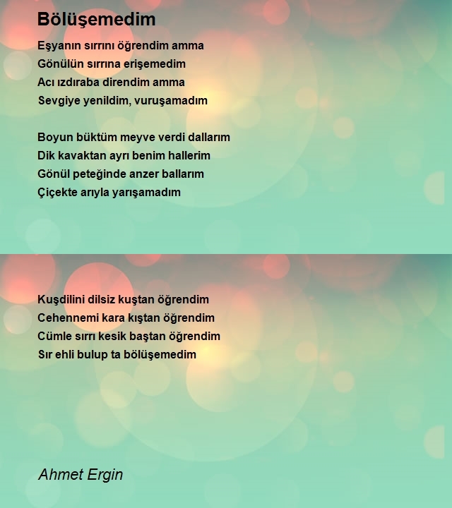 Ahmet Ergin