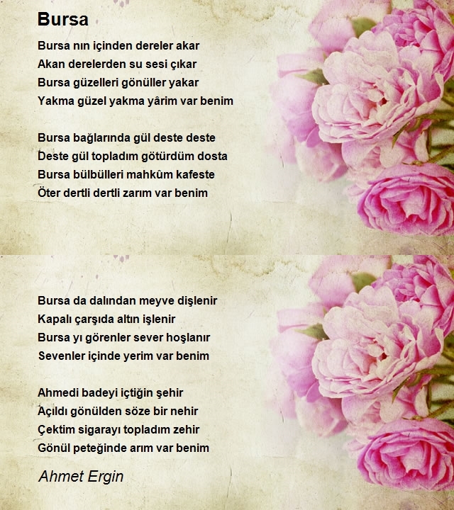 Ahmet Ergin