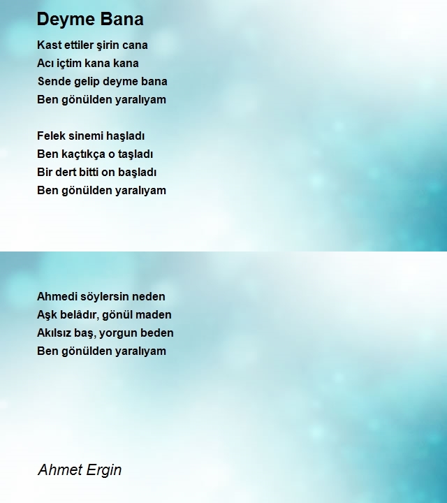 Ahmet Ergin