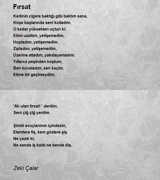 Zeki Çalar