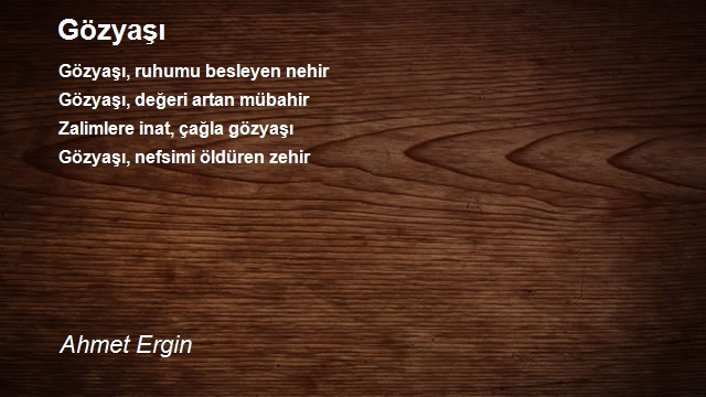 Ahmet Ergin