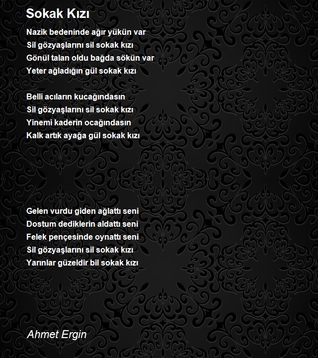 Ahmet Ergin