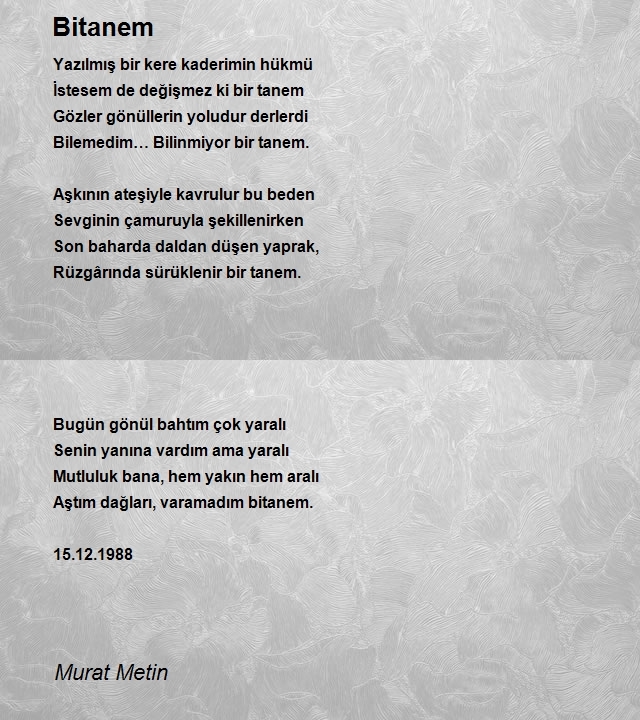 Murat Metin