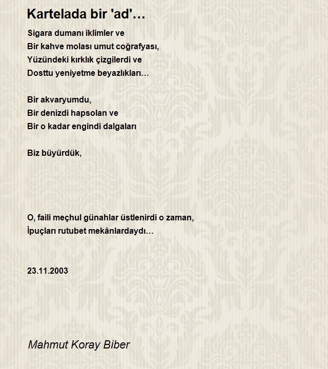 Mahmut Koray Biber