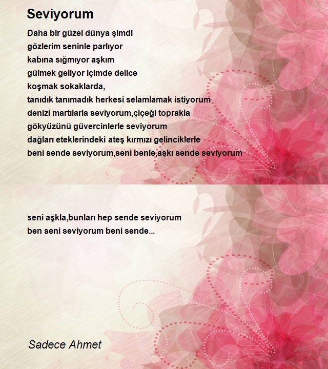 Sadece Ahmet