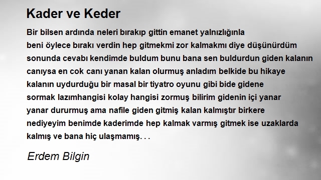 Erdem Bilgin