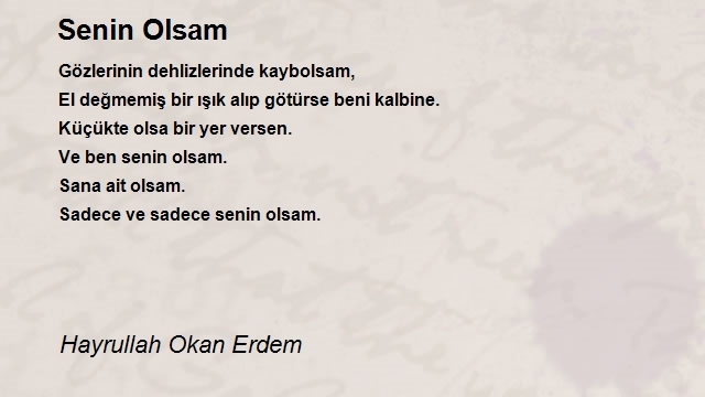 Hayrullah Okan Erdem