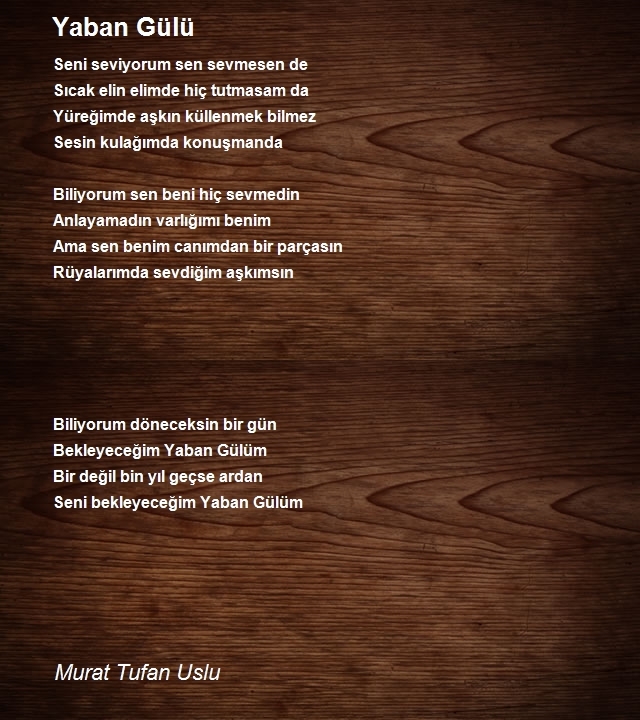 Murat Tufan Uslu