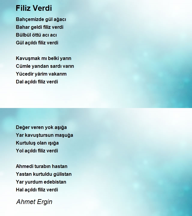 Ahmet Ergin