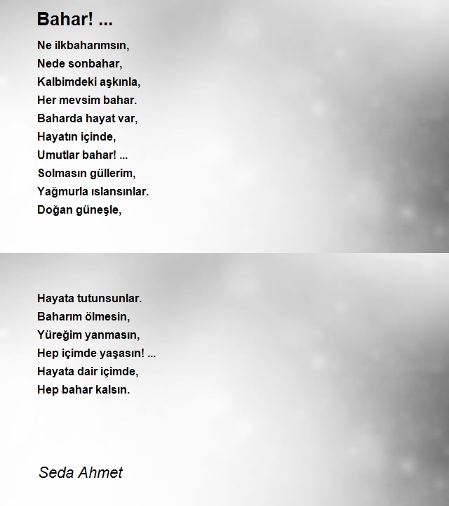 Seda Ahmet