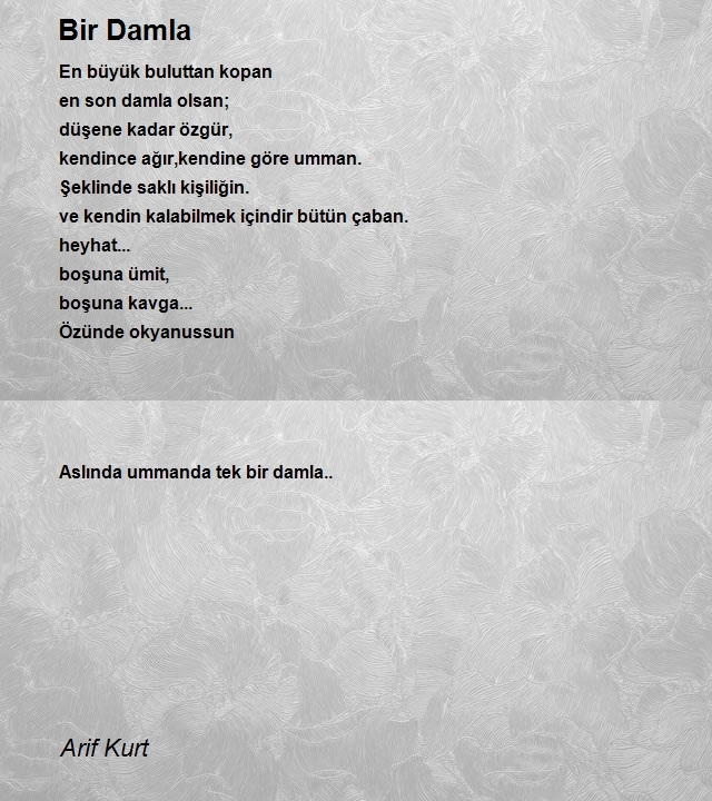 Arif Kurt