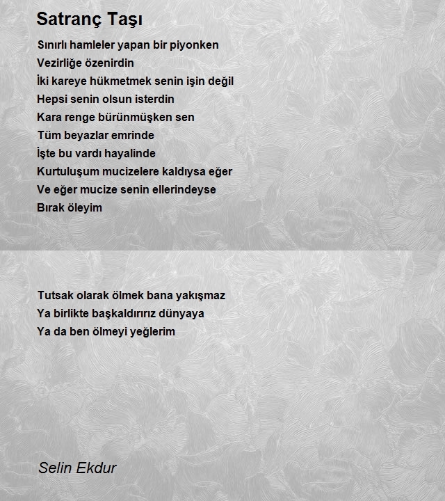 Selin Ekdur