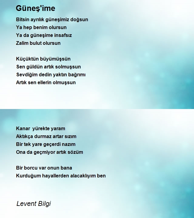 Levent Bilgi