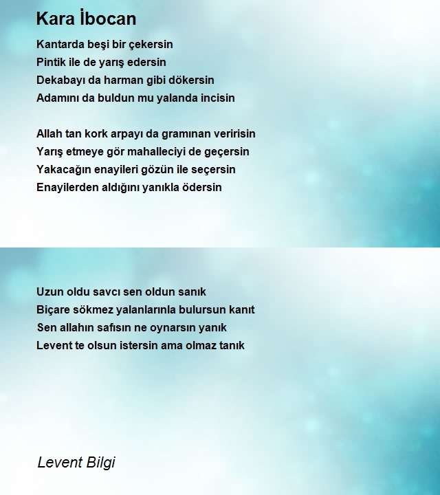 Levent Bilgi