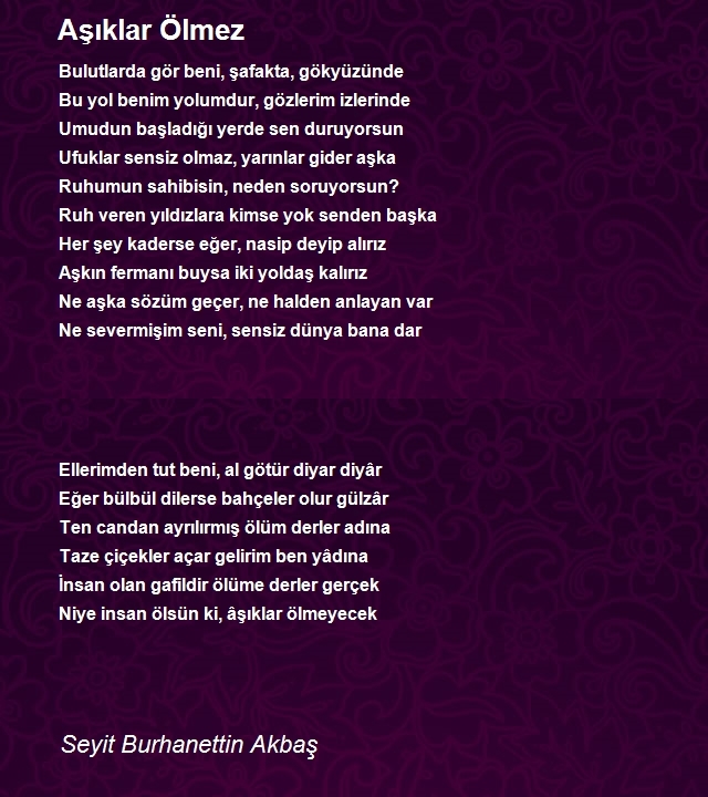 Seyit Burhanettin Akbaş