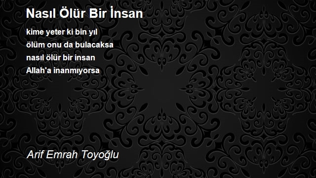 Arif Emrah Toyoğlu