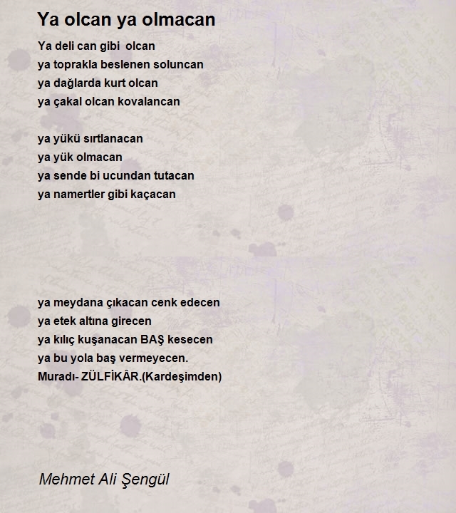 Mehmet Ali Şengül