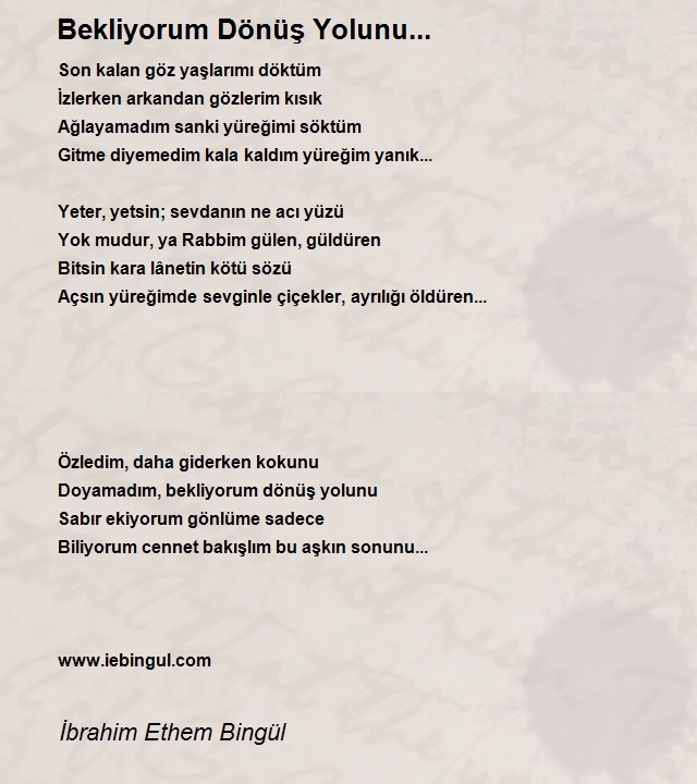 İbrahim Ethem Bingül