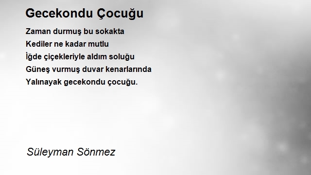 Süleyman Sönmez