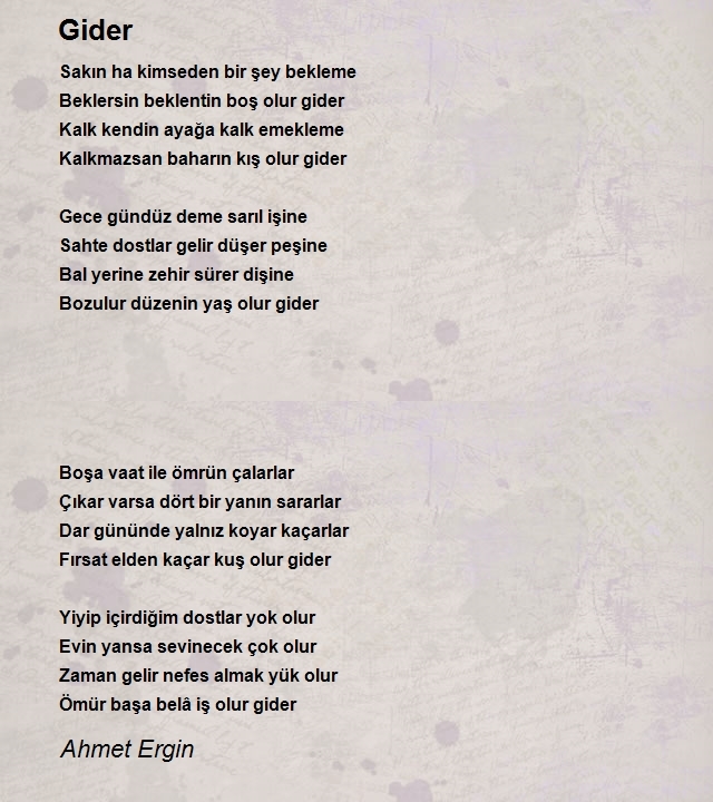 Ahmet Ergin