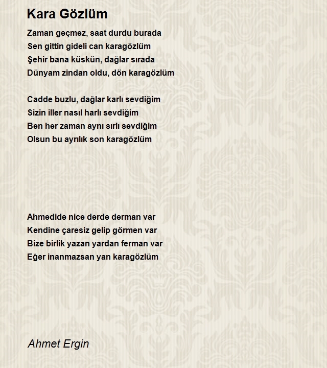 Ahmet Ergin