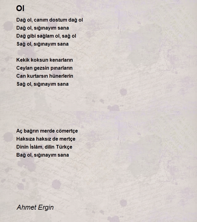 Ahmet Ergin