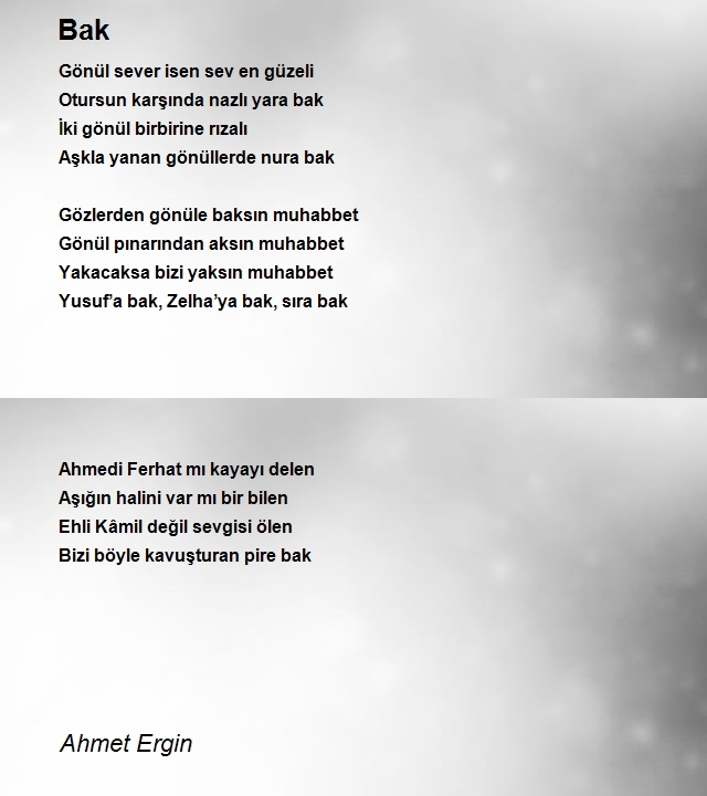 Ahmet Ergin