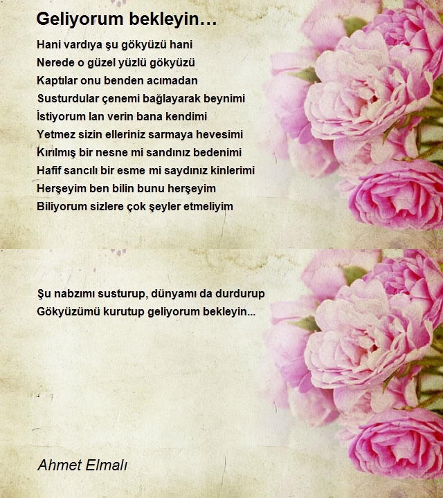 Ahmet Elmalı