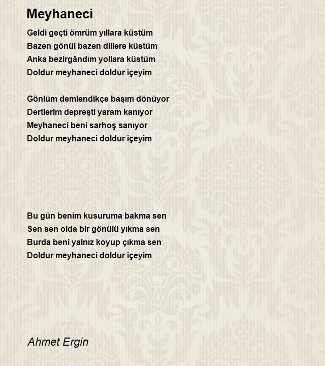 Ahmet Ergin