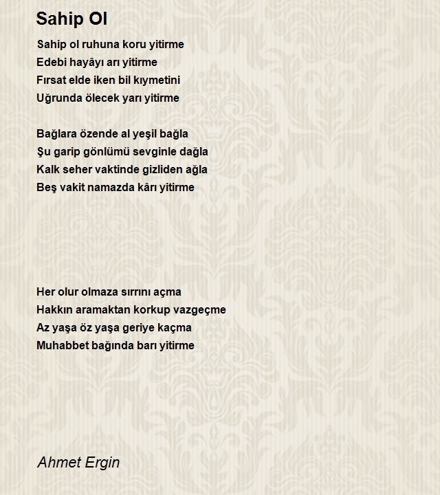 Ahmet Ergin