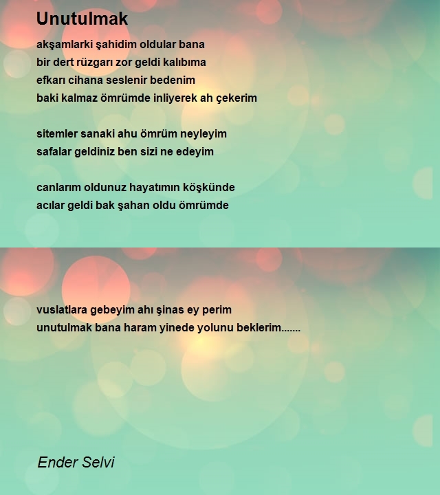 Ender Selvi