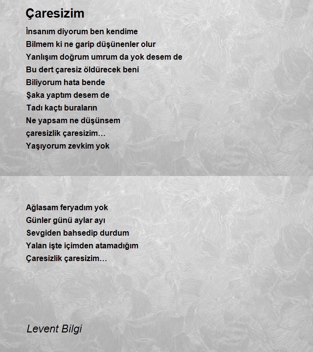 Levent Bilgi