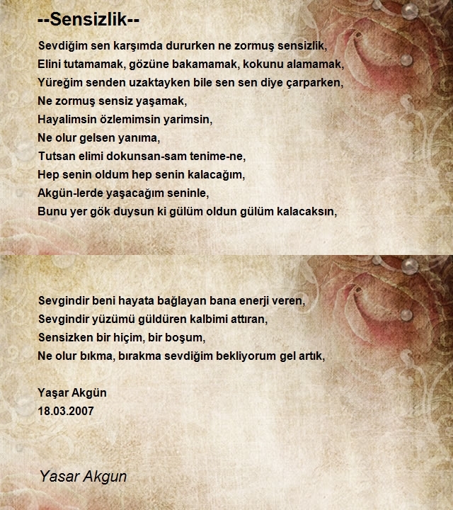 Yasar Akgun