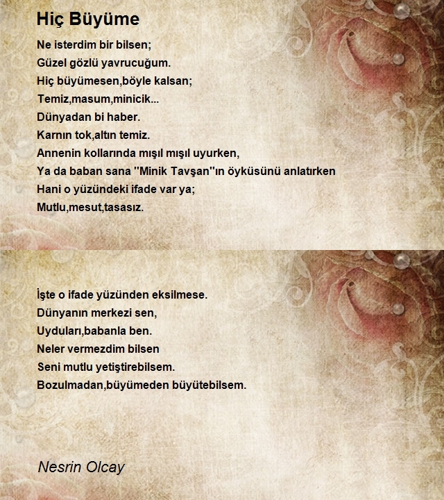 Nesrin Olcay