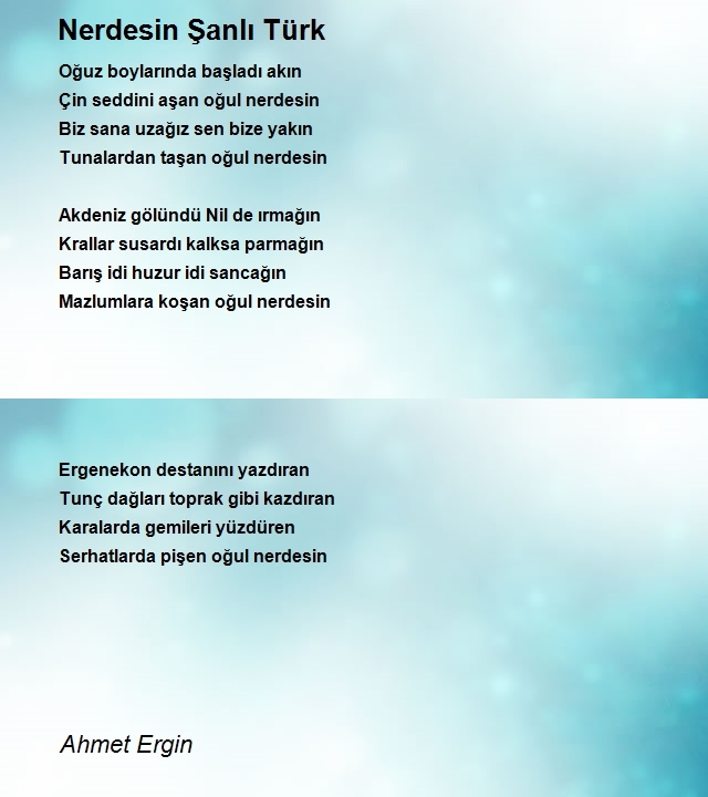 Ahmet Ergin