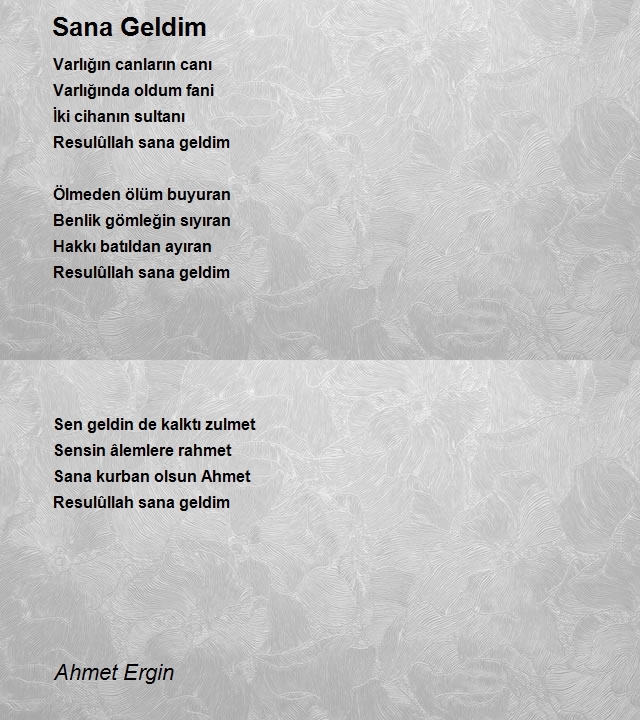 Ahmet Ergin