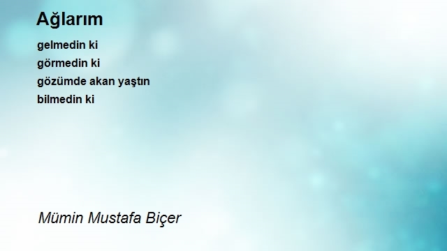 Mümin Mustafa Biçer