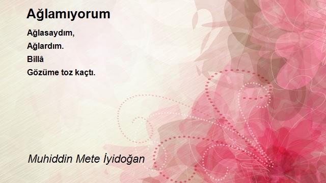 Muhiddin Mete İyidoğan