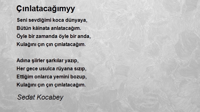 Sedat Kocabey