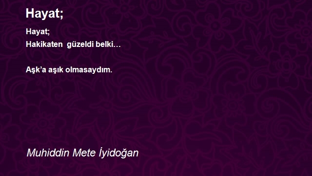 Muhiddin Mete İyidoğan