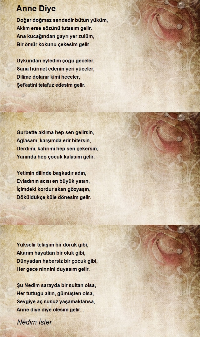 Nedim İster