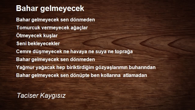 Taciser Kaygısız