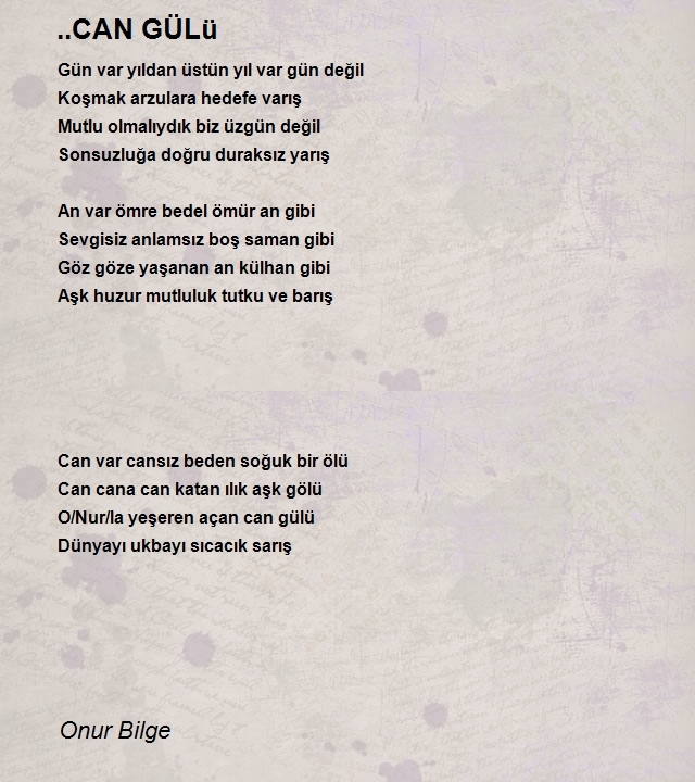 Onur Bilge