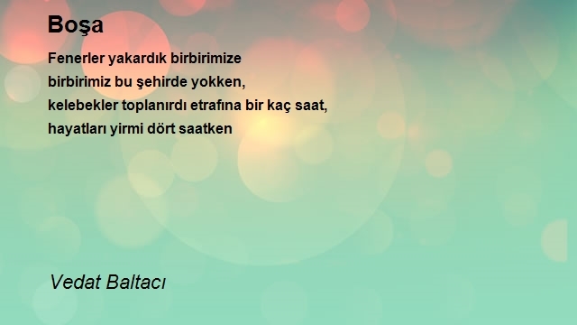 Vedat Baltacı