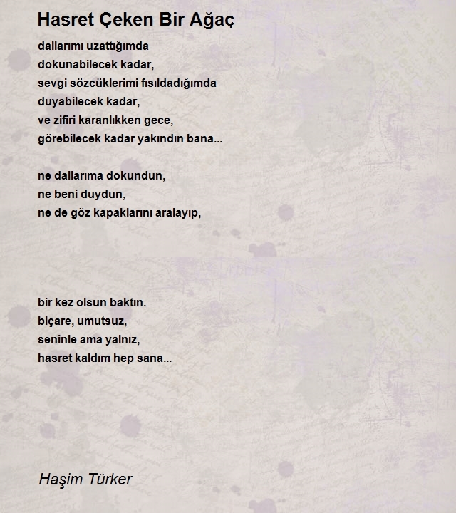 Haşim Türker