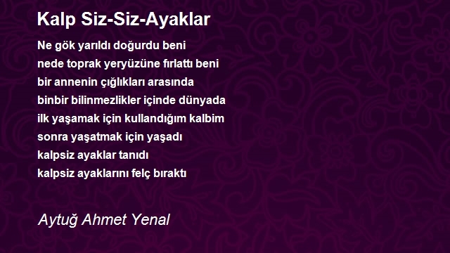 Aytuğ Ahmet Yenal