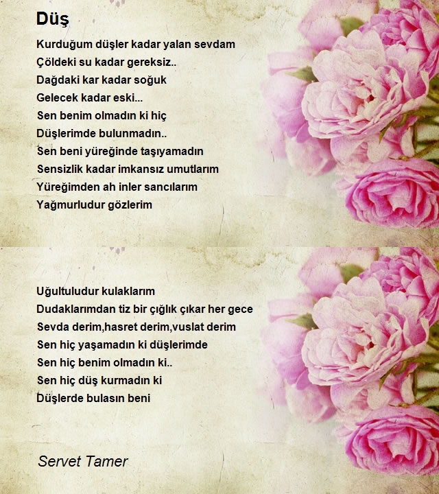 Servet Tamer